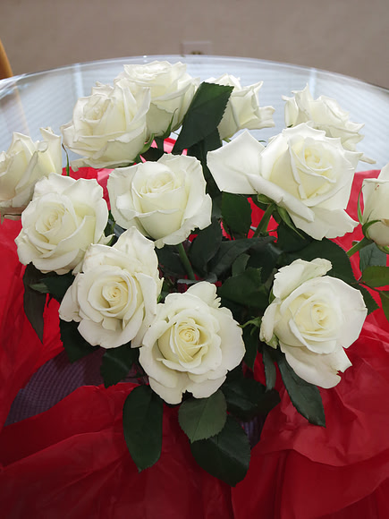 White On Red
