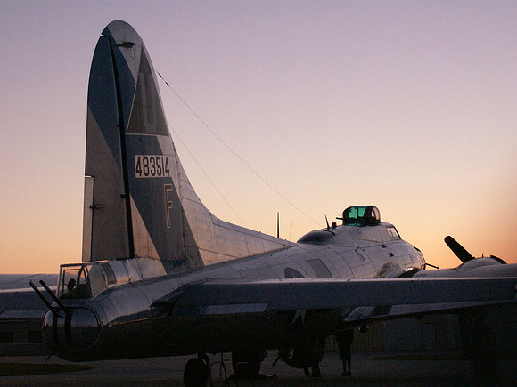 Twilight Tail