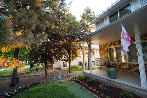 Front Yard At Dawn