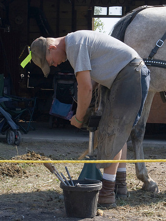 Cleaning The Horse shoes