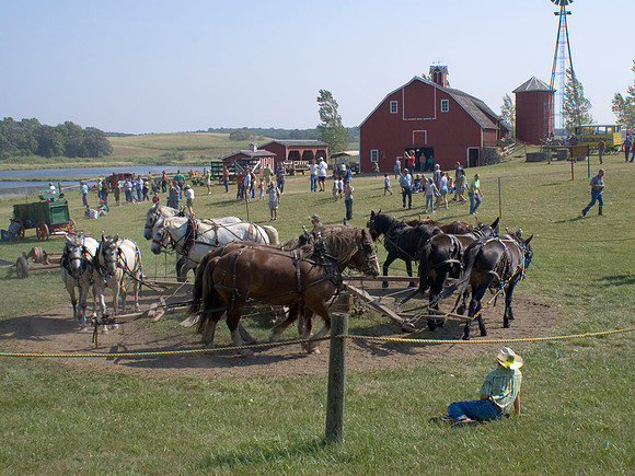 Working Horse Farm