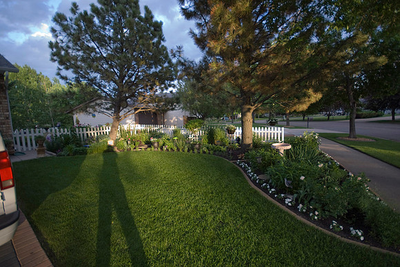 Long Shadow
