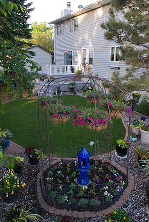 Backyard Gazebo