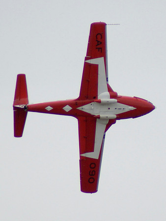 Snowbirds
