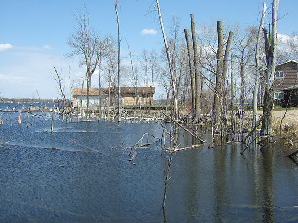 Lake Around The Bend