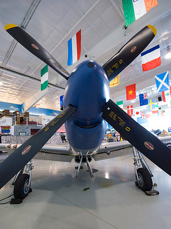 P51 Mustang Blue Nose
