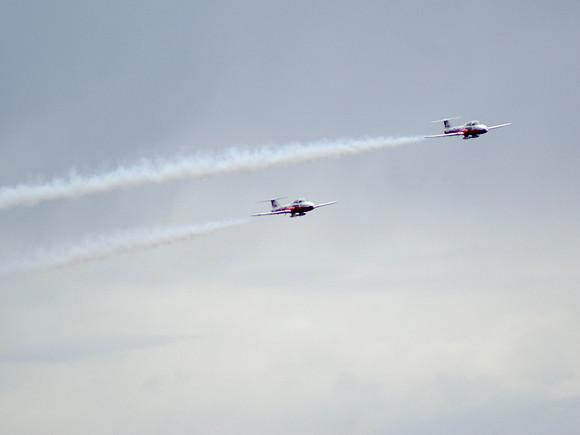 Snowbirds