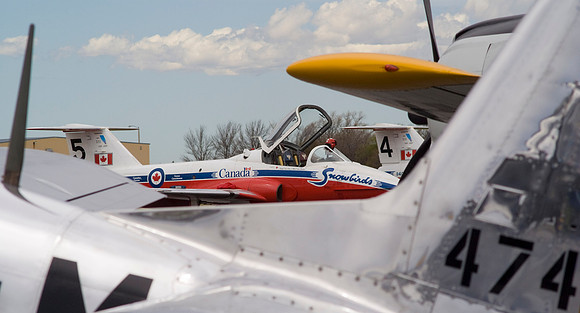 Snowbird Framed By P51