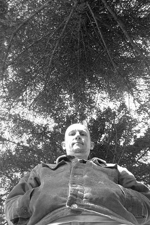 Under The Tree