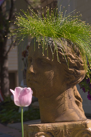 Fiber Optic Grass & Tulip