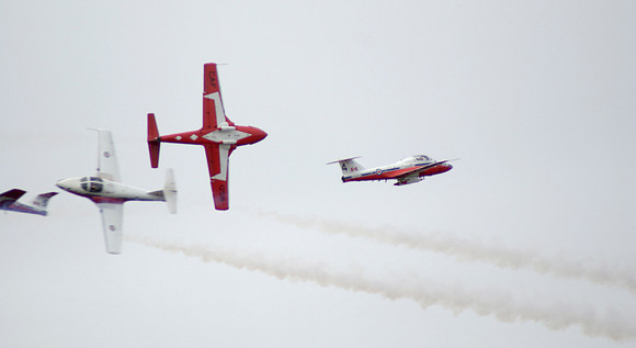 Two Pairs Of Snowbirds Crossing