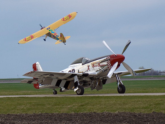 Jelly Belly Over P51