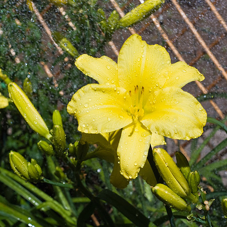 DSC05275
