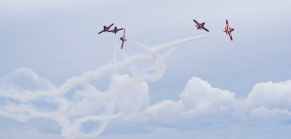 Snowbirds