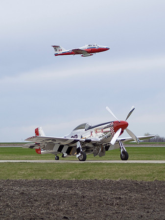 Snowbird Over Sweet Revenge