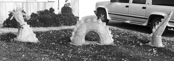 Neighbor's Pet Dragon