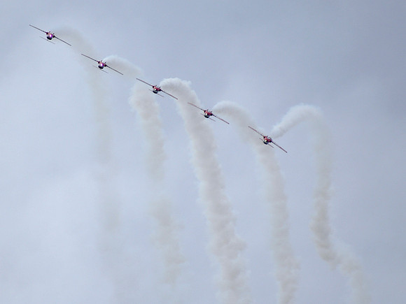 Snowbirds