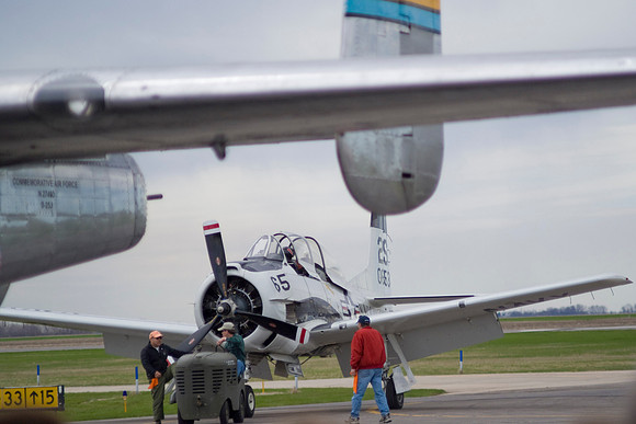Trojan Under Mitchell Tail