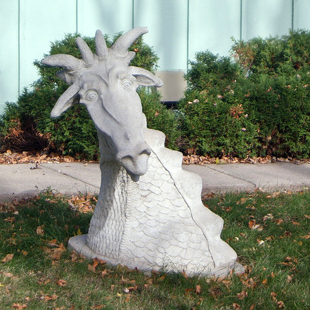 Confused Dragon