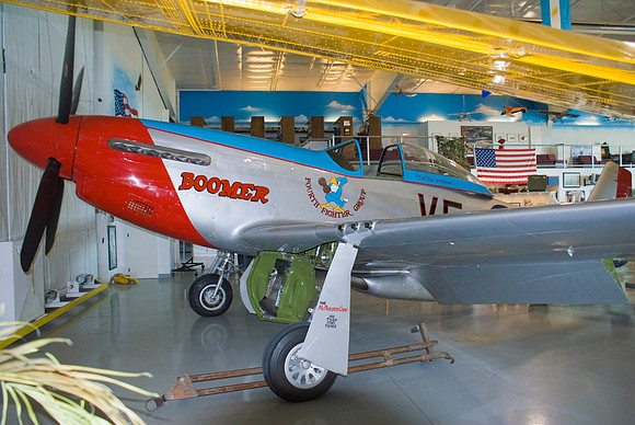 Boomer Under Duggy's Wing
