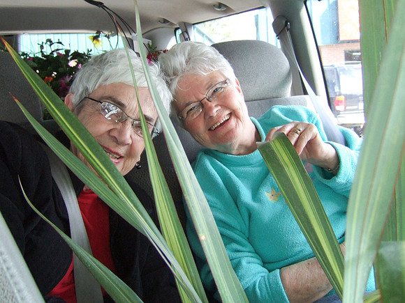 Barb Rawling & Lucy Heisler Peak Between The Leaves