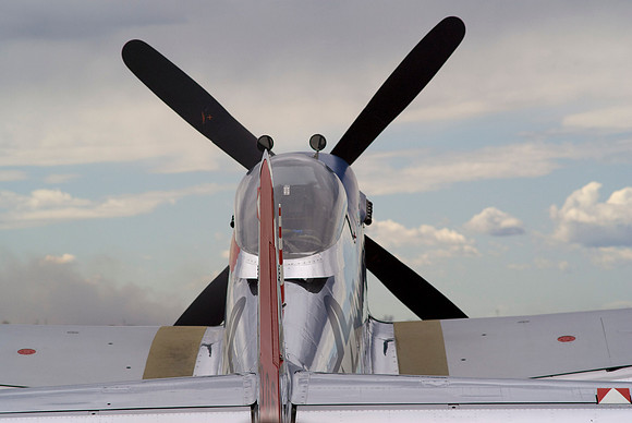 Mustang Tail