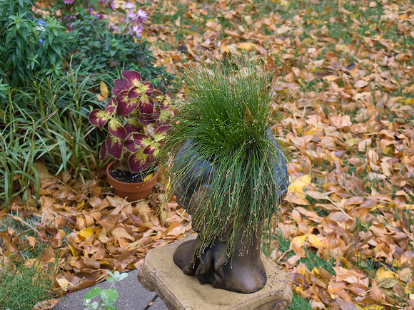 Grass Head Leaves Bed