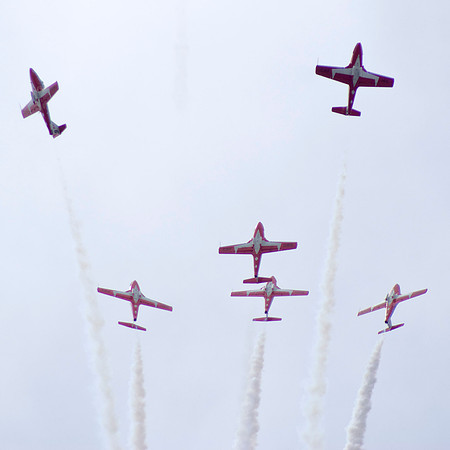 Snowbirds Burst