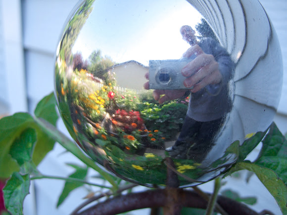 Gaze Into My Camera