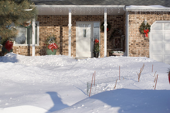 Front Yard Under A Blanket Of Snow